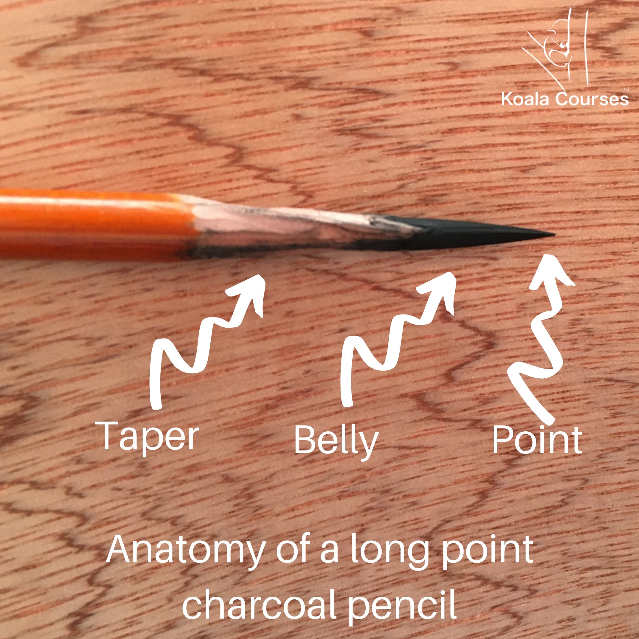 Private_Tuition_Koala_Courses 